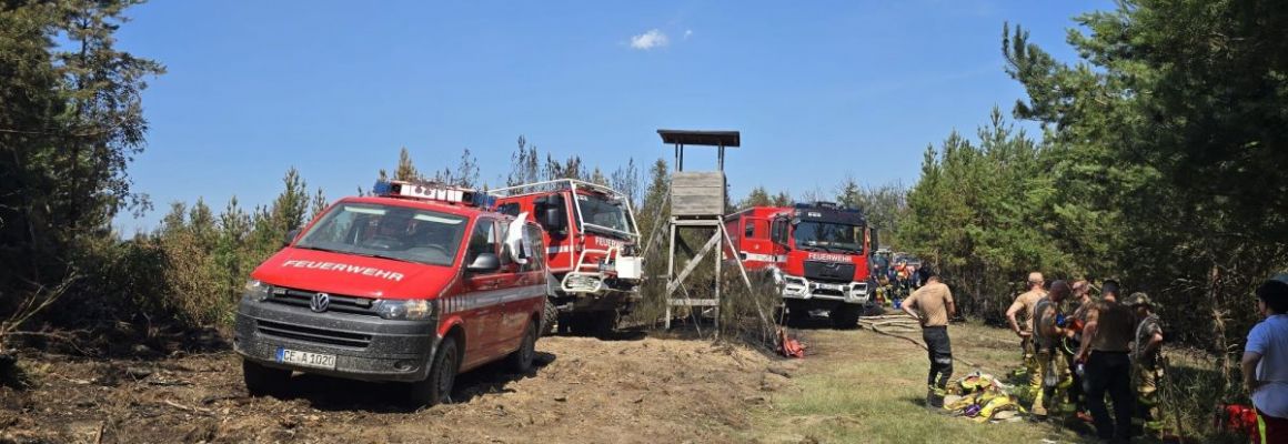 28.06.2026 - Waldbrandeinsatz für das UTV in Wienrode